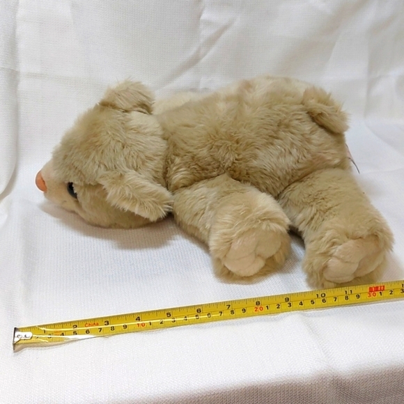 Lil' Pet Hospital Plush☆Dropsie the Bear Cub - Picture 6 of 11